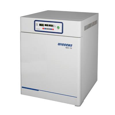 Constant Temperature Incubator