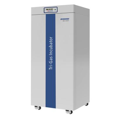 Tri-Gas Incubator