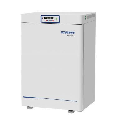 Constant Temperature Incubator