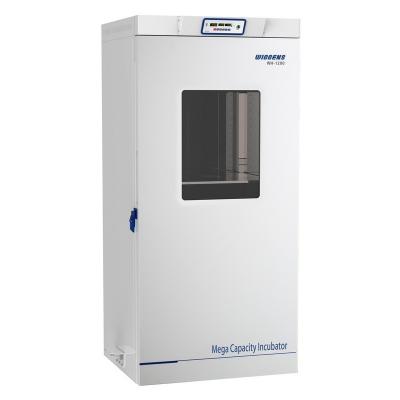 Constant Temperature Incubator